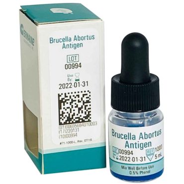 brucella abortus antigen