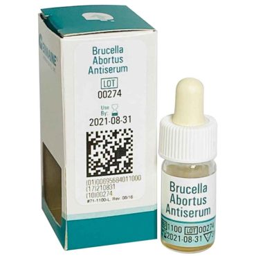 brucella abortus antiserum