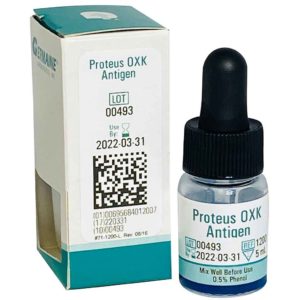 proteus oxk antigen