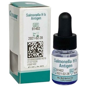 salmonella h b antigen