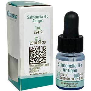 salmonella h c antigen