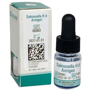 salmonella h d antigen